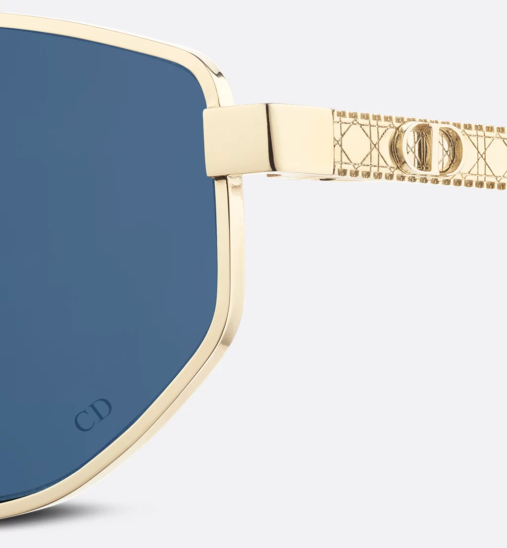 DiorCannage B1U - Image 6